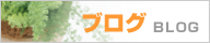 �u���O