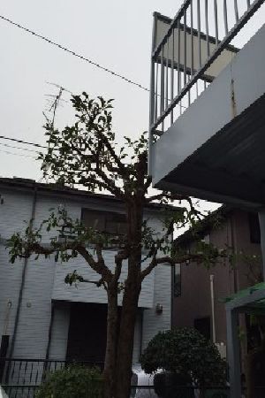 施工例写真11