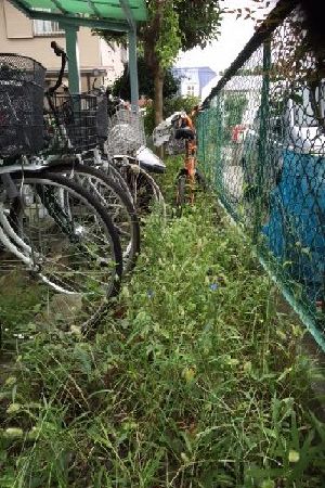 施工例写真14