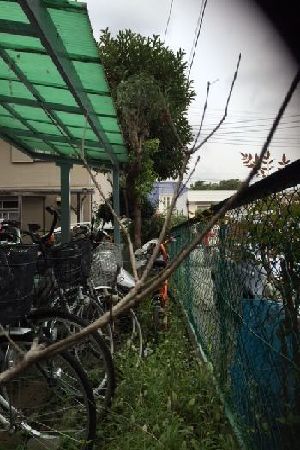 施工例写真16
