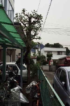 施工例写真17