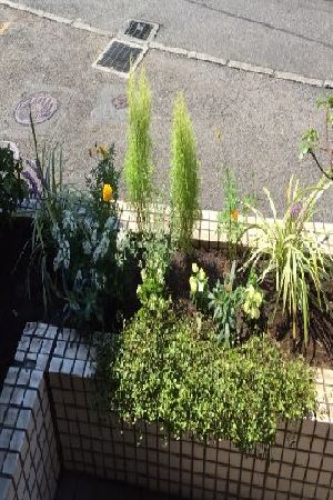 施工例写真6