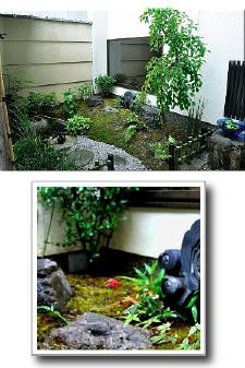 �{�H��ʐ^�S