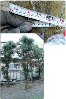 施工例写真1