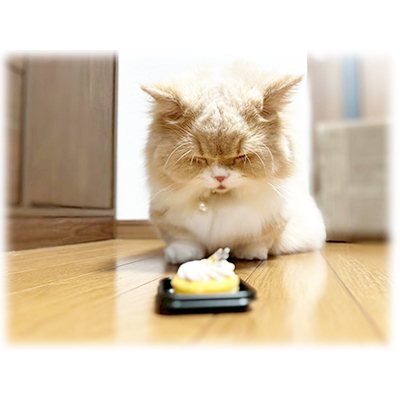職人写真2-5
