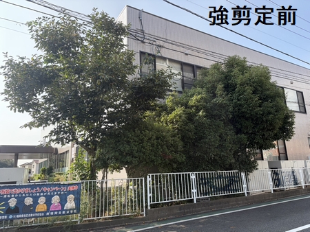 施工例写真２
