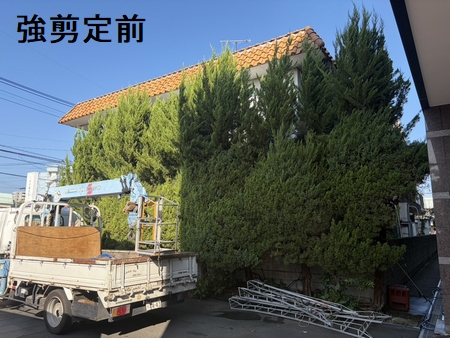 施工例写真４