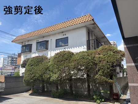 施工例写真5