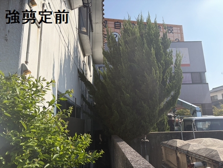 施工例写真6
