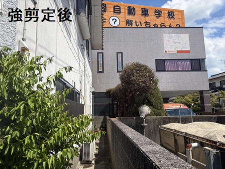 施工例写真7