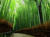 京都府(133)