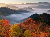 滋賀県(20)