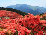 大阪府(105)
