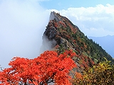 愛媛県(4)