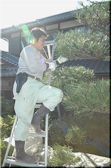 施工例写真2