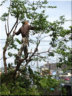 施工例写真４