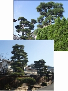 施工例写真1