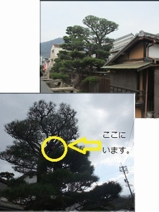 施工例写真3